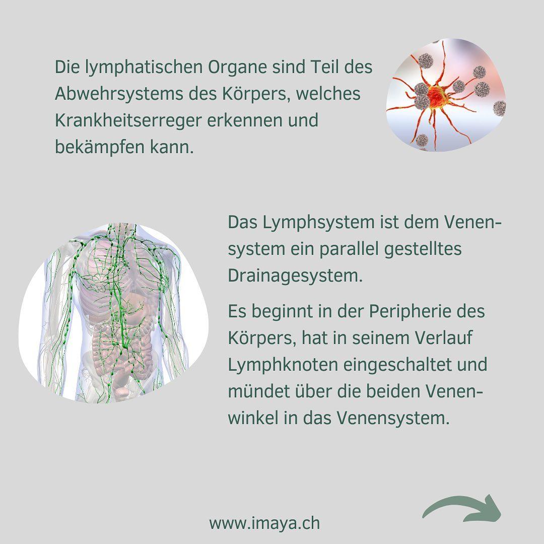 Wassereinlagerungen & Lymphsystem