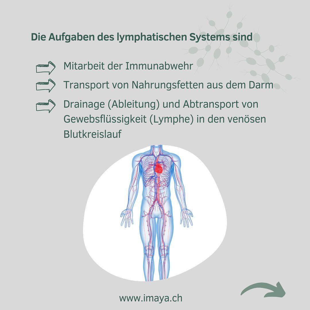 Wassereinlagerungen & Lymphsystem